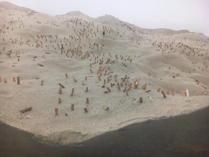 Gabriel Kuri - the beach