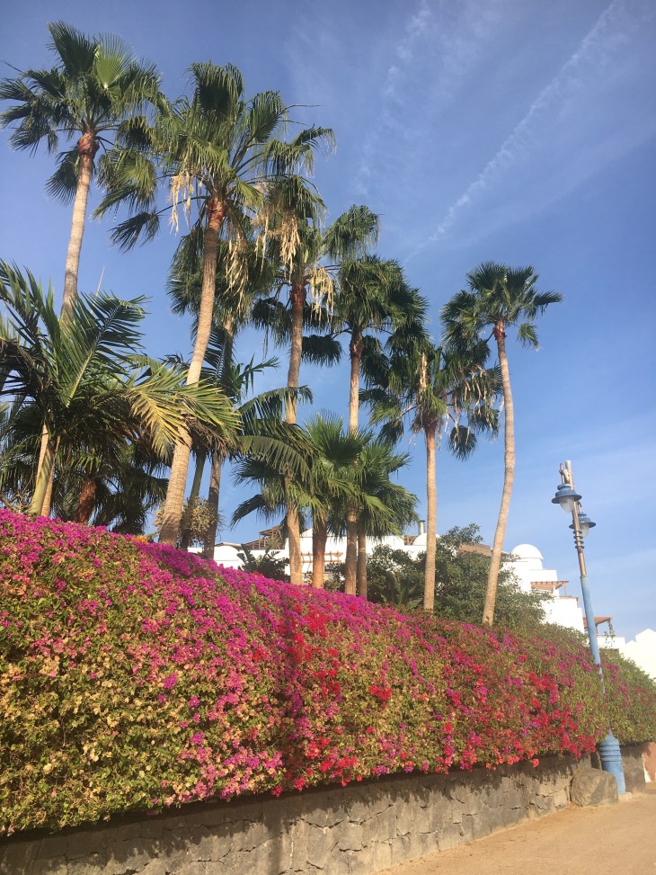 Lanzarote, Plaja Dorada