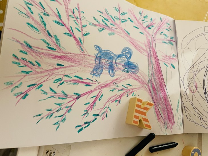 How an imperfect koala drawing created connection